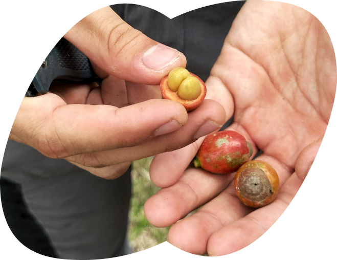 Нормальный клуб дегустаторов