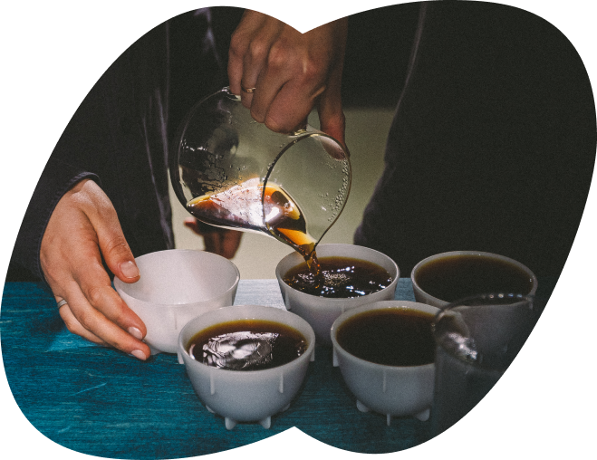 Курс калибровок