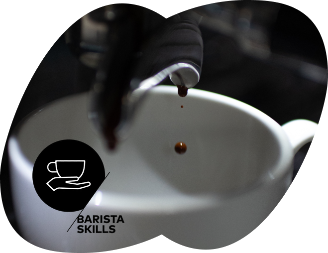 SCA Barista Skills Intermediate