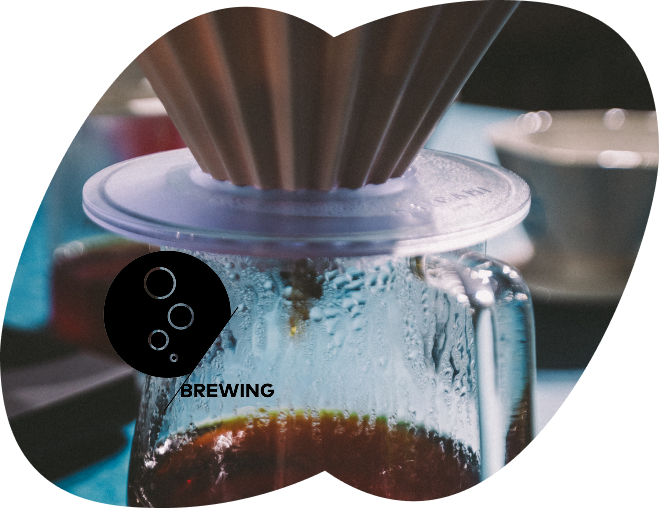 SCA Brewing Foundation